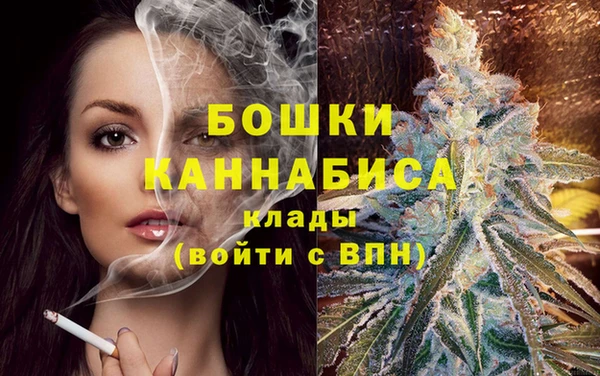 герыч Пересвет