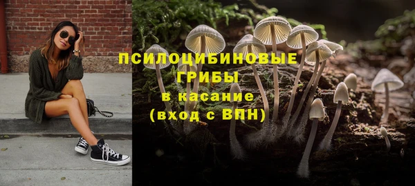 герыч Пересвет