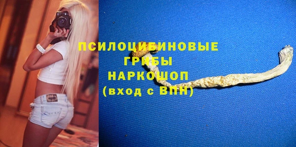 индика Воткинск