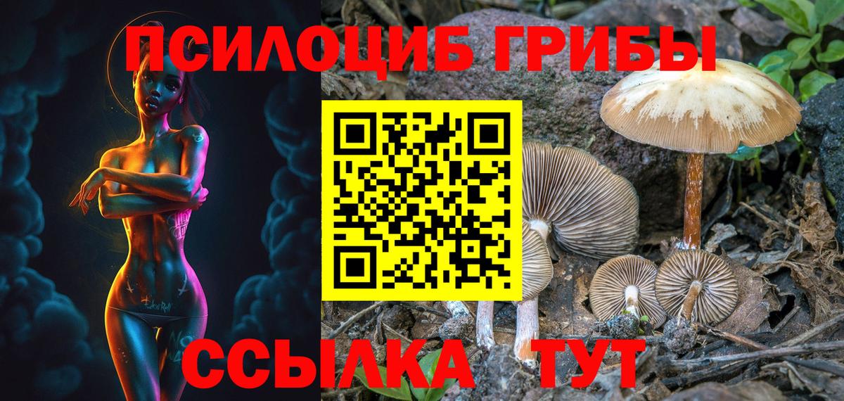 Псилоцибиновые грибы ЛСД Гурьевск