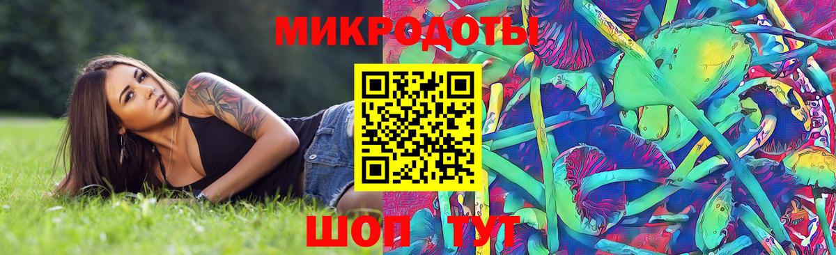 Псилоцибиновые грибы мицелий  Галлюциногенные грибы GOLDEN TEACHER  Гурьевск 