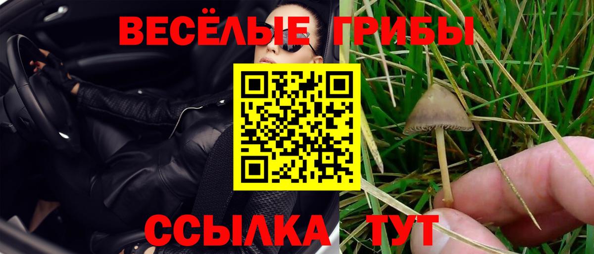 Галлюциногенные грибы GOLDEN TEACHER Гурьевск