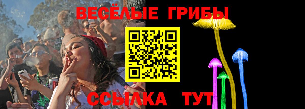 Галлюциногенные грибы ЛСД  Вход с VPN  Гурьевск 